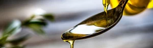Descubre el Tesoro Gastronómico de Huelva: El Aceite de Oliva Virgen Extra