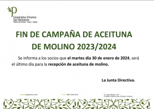Fin de la campaña de aceituna de molino 2023/2024