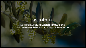 La sinfonía de la tradición, innovación y sostenibilidad en el AOVE
