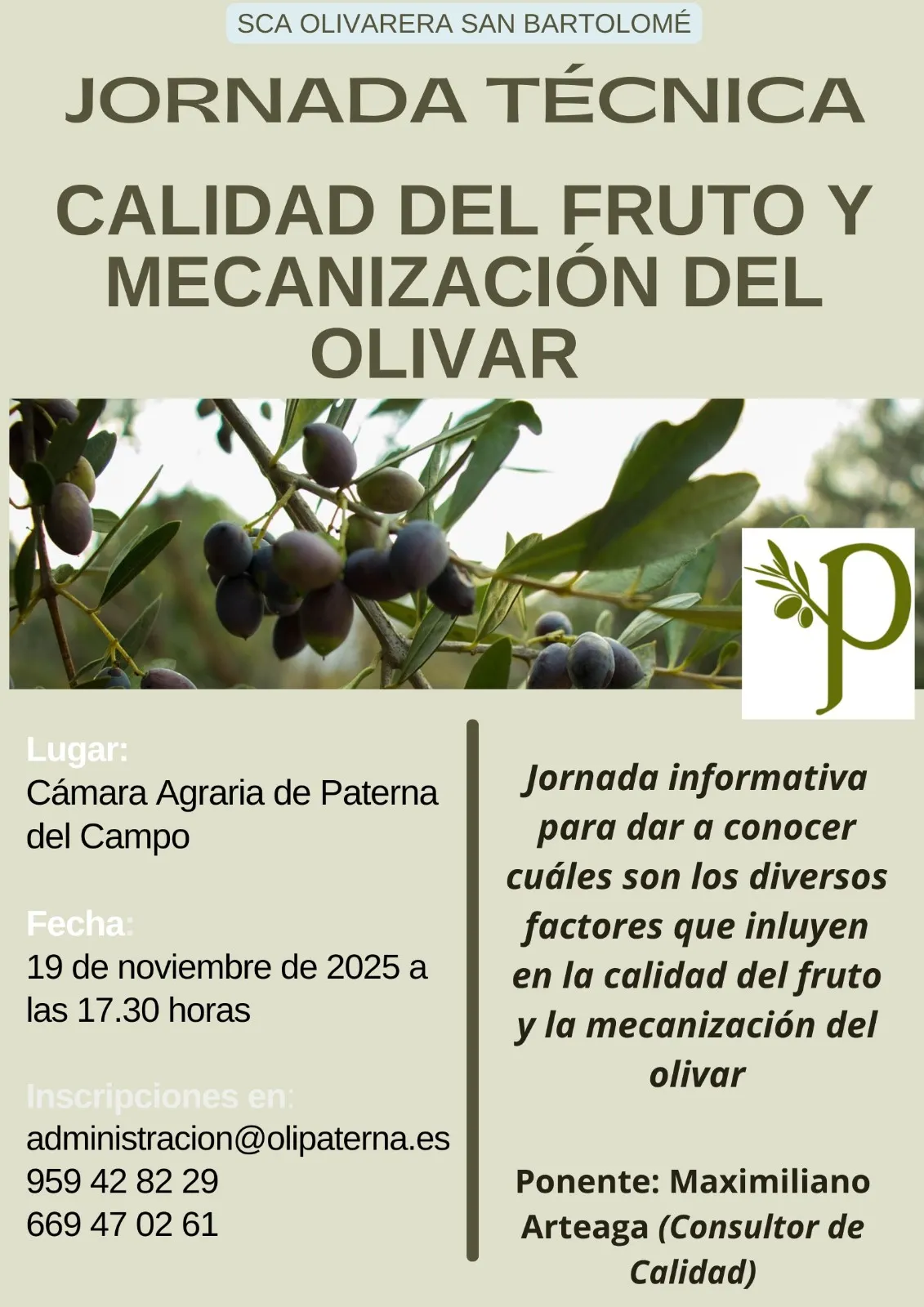 calidad del fruto del olivo