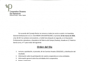 Asamblea General Ordinaria cooperativa: claves, funciones y puntos esenciales del orden del día