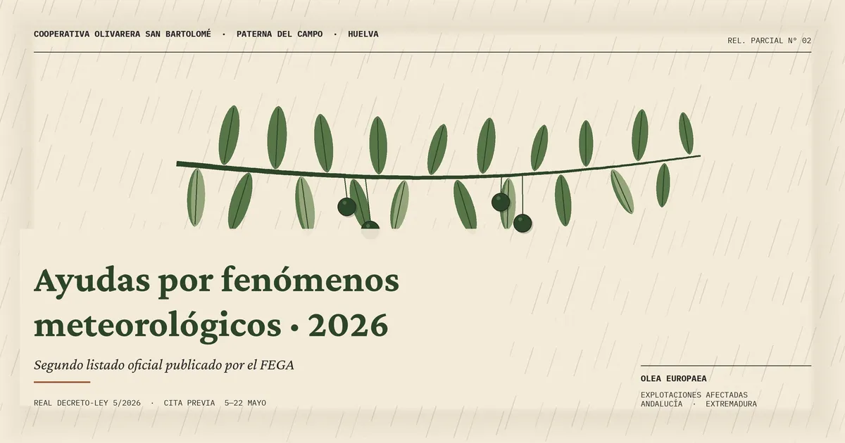 Cartel de la Cooperativa Olivarera San Bartolomé sobre las ayudas fenómenos meteorológicos del RDL 5/2026